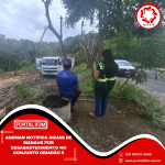 Feed_Portal IF3M (1080 x 1080 px) (74)