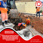 Feed_Portal IF3M (2)