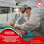 Feed_Portal IF3M (66)