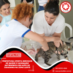 Feed_Portal IF3M (1080 x 1080 px) (74)