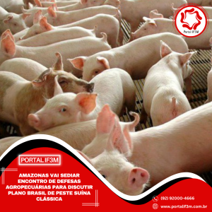 Feed_Portal IF3M (1080 x 1080 px) - 2026-04-06T155708.302