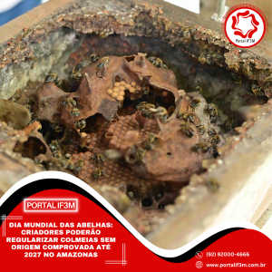 Feed_Portal IF3M (1080 x 1080 px) - 2026-05-20T162648.867