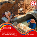 Feed Eleições 2026 (51)