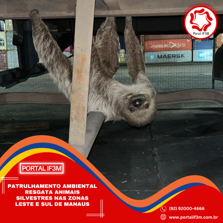 Cópia de Feed Eleições 2026 (16)