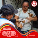 Cópia de Feed Eleições 2026 (7)