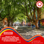 Feed Eleições 2026 (24)