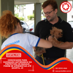 Feed Eleições 2026