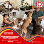 Cópia de Cópia de Feed Eleições 2026 - 2026-09-23T143741.572