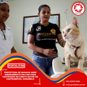 _Eleições 2026 - 2026-10-07T144338.504