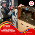 _Eleições 2026 - 2026-10-08T154118.792